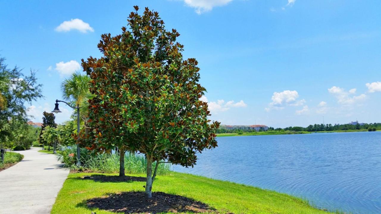 Stylish Condo At Vista Cay Resort Minutes To Wdw Ορλάντο Εξωτερικό φωτογραφία